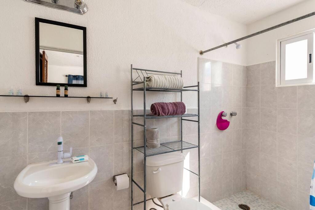 Micro Studio Perfect For Backpackers, Couples, 3 Min Drive To Playa El Nino كانكون المظهر الخارجي الصورة