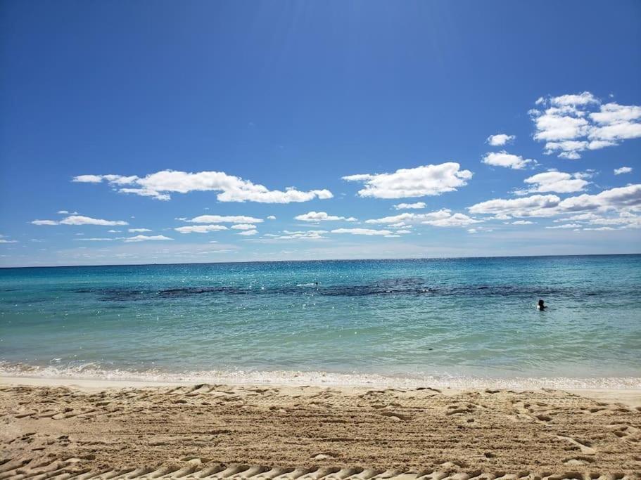 Micro Studio Perfect For Backpackers, Couples, 3 Min Drive To Playa El Nino كانكون المظهر الخارجي الصورة